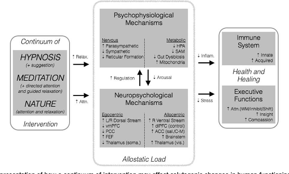 Nature, Mind & Medicine - A Model for Mind-Body Healing - ... - samim