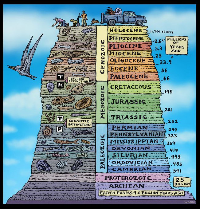 Geologic Time Scale Drawn By Ray Troll via Samim