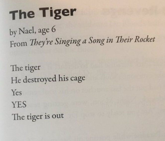 The Tiger - A poem by Nael, age 6