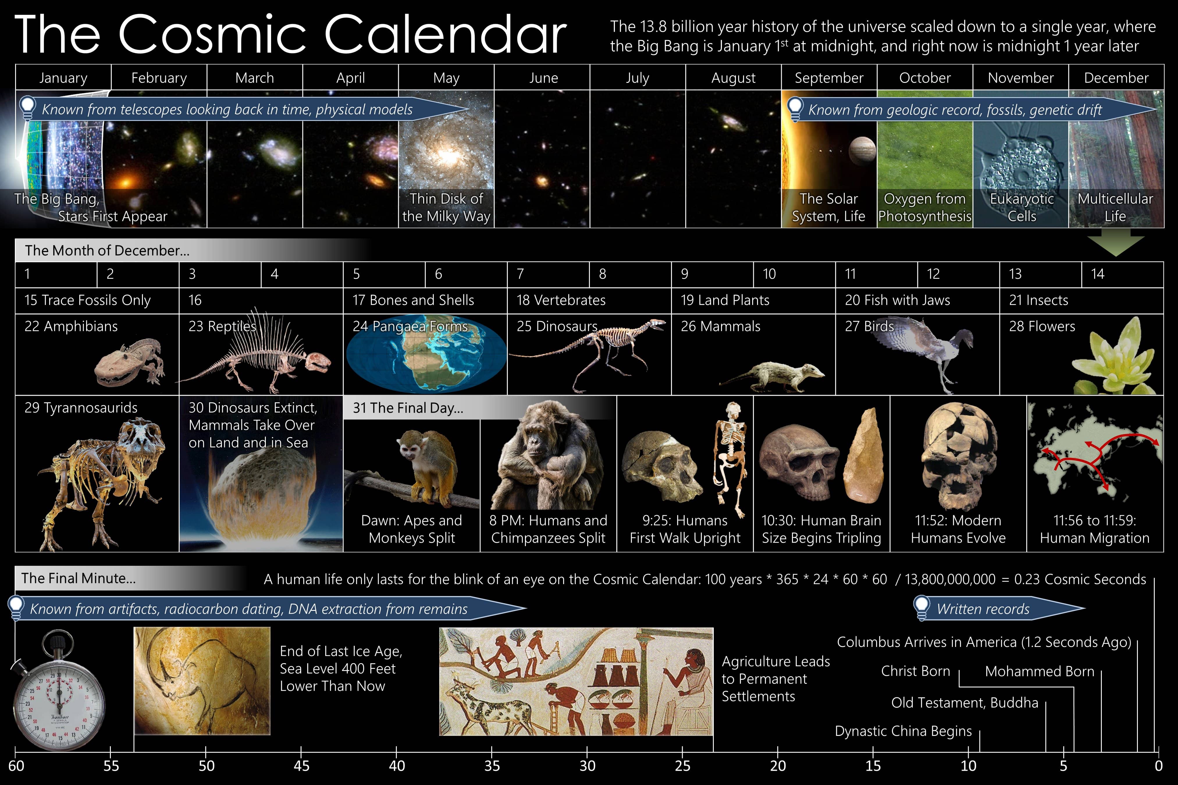 The Cosmic Calendar Samim