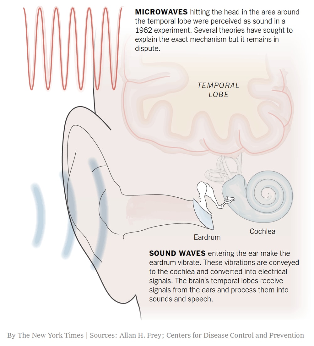 Radio Frequency Effects On Humans