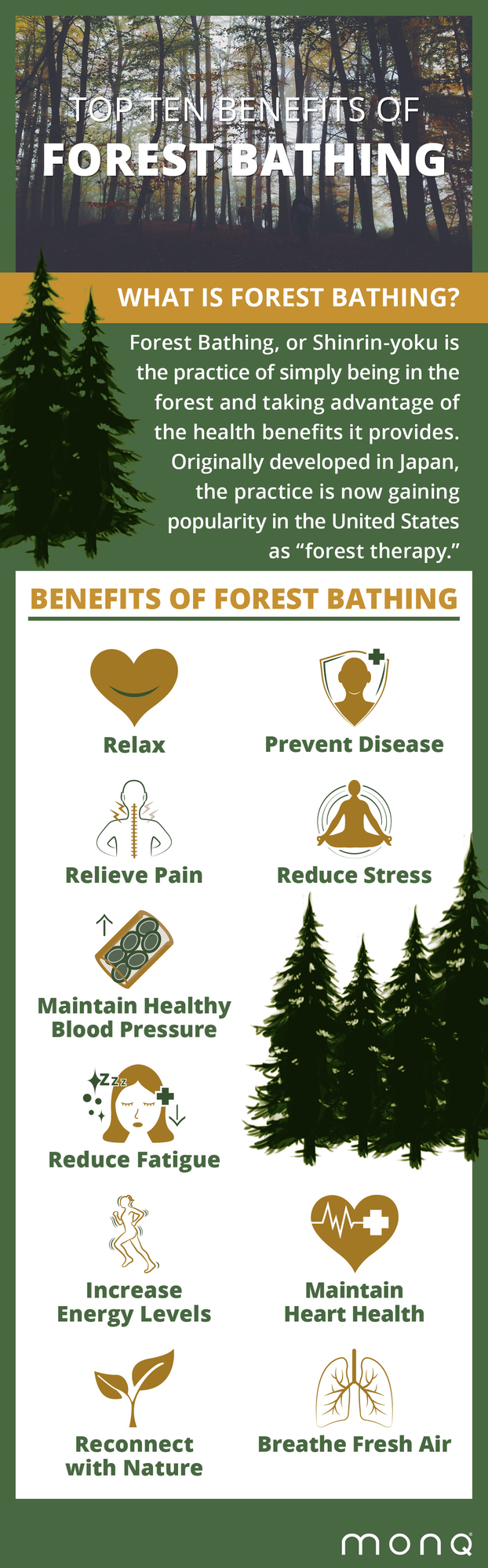 Benefits of Forest Bathing (Shinrin-Yoku) - samim