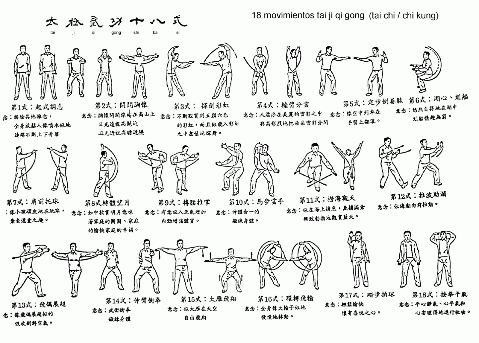 18-movements-of-taiji-qigong-shibashi-samim