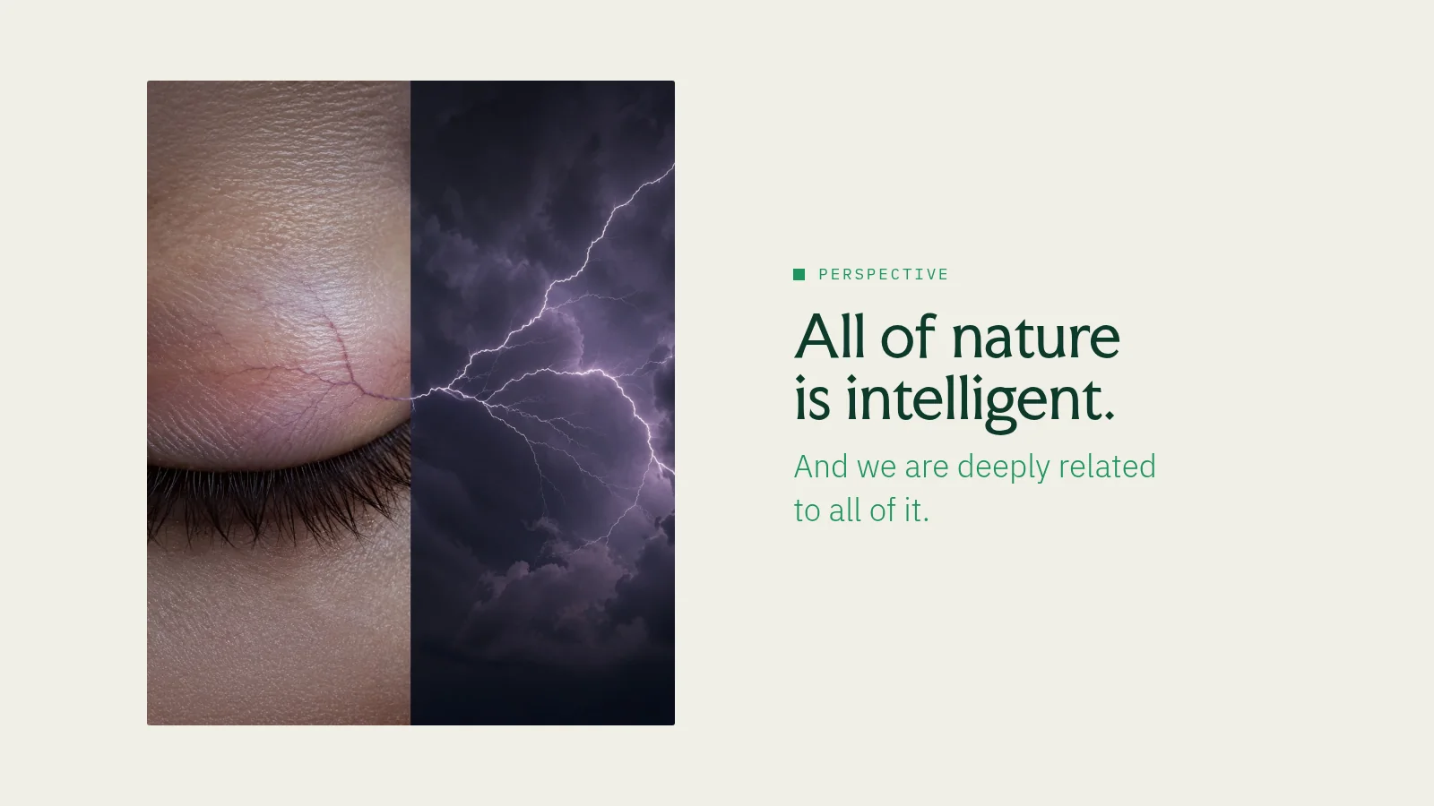 Slide 9: Perspective All of nature is intelligent. And we are deeply related to all of it.
