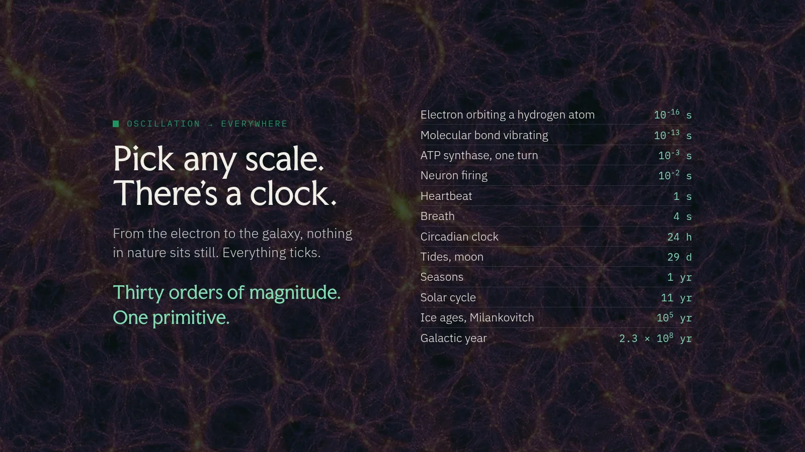 Slide 11: Oscillation → everywhere Pick any scale. There's a clock. From the electron to the galaxy, nothing in nature sits still. Everything ticks. Thirty orders of magnitude. One primitive. Electron orbiting a hydrogen atom 10…