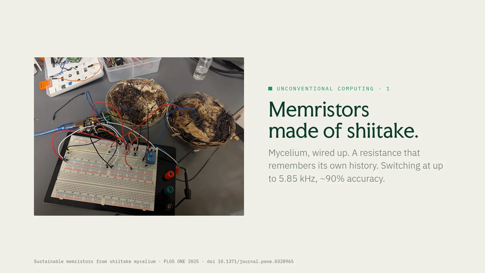 Slide 14: Unconventional computing · 1 Memristors made of shiitake. Mycelium, wired up. A resistance that remembers its own history. Switching at up to 5.85 kHz, ~90% accuracy. Sustainable memristors from shiitake mycelium · PLOS…
