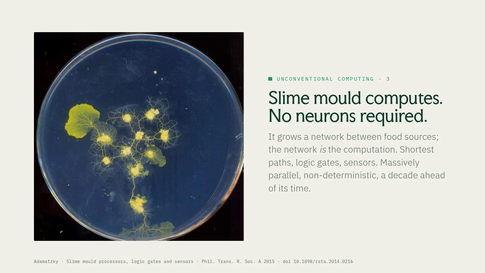 Slide 16: Unconventional computing · 3 Slime mould computes. No neurons required. It grows a network between food sources; the network is the computation. Shortest paths, logic gates, sensors. Massively parallel,…
