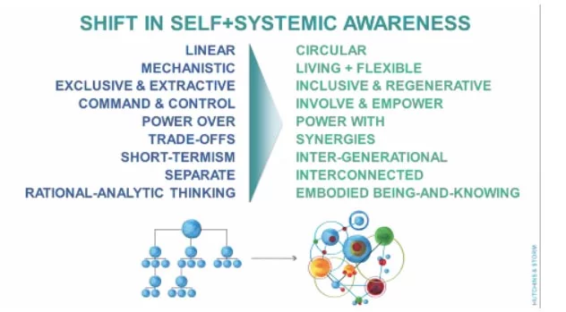 Shift In Self Systemic Awareness Samim